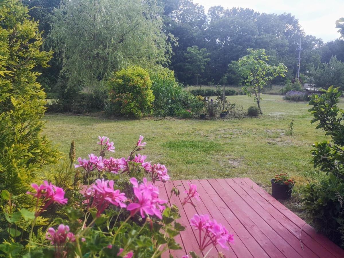 Apartamenty Zielona Gora Esterno foto