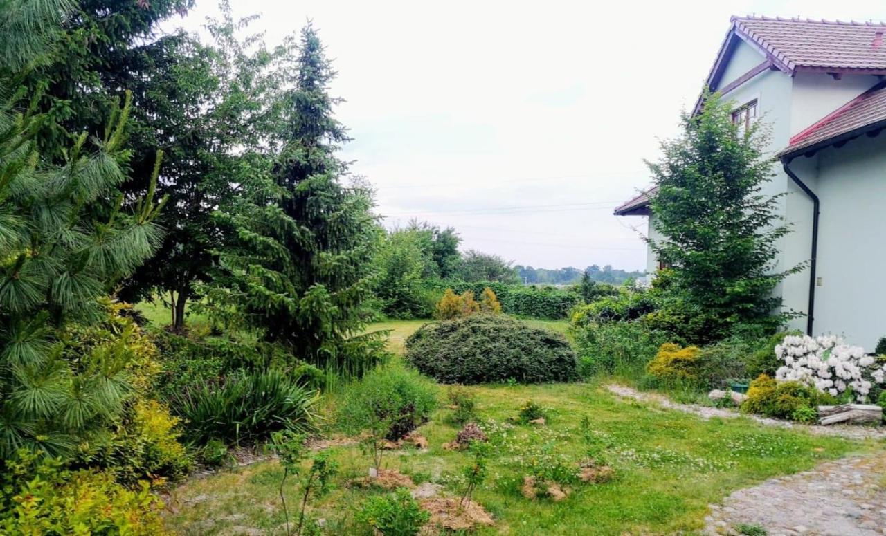 Apartamenty Zielona Gora Esterno foto