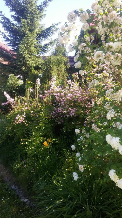 Apartamenty Zielona Gora Esterno foto
