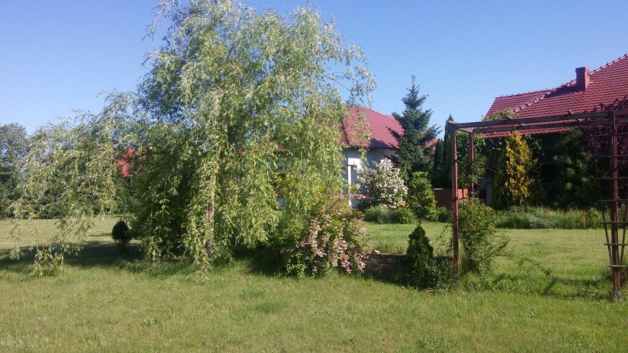 Apartamenty Zielona Gora Esterno foto